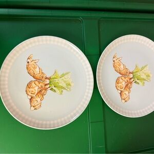 Charming Rabbit Design Dinner Plate Set